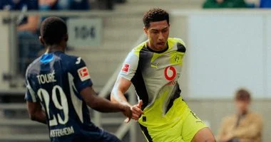 هوفنهايم يهزم دورتموند بثنائية ويقرب بايرن ميونخ من لقب الدورى الألمانى