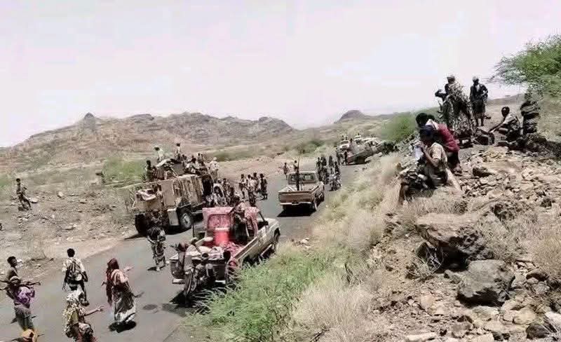 أمران كشفتهما مواجهات تعز :